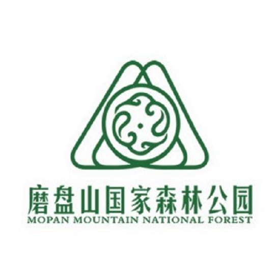 叢林飛越安全裝備——磨盤山國家森林公園